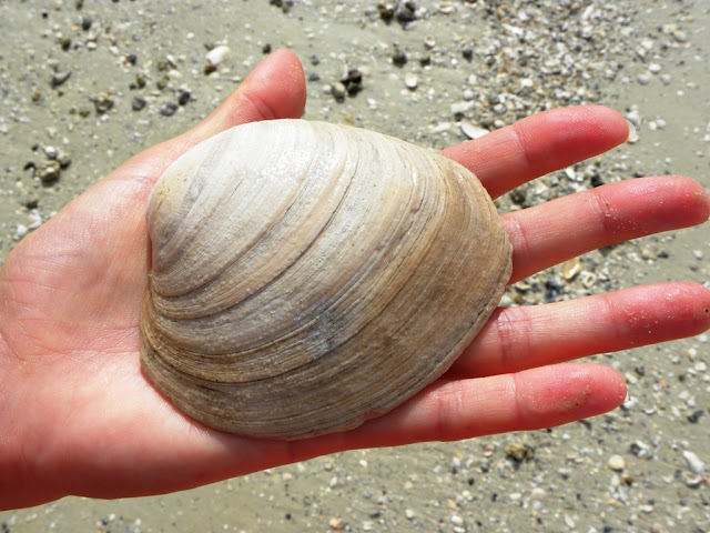 Sanibel Causaway Bay