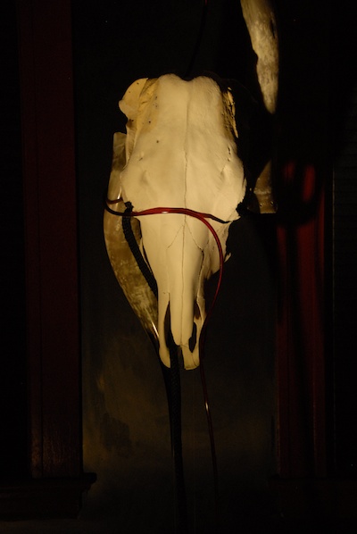 2010 Suspended Skull view 2 (detail).jpg