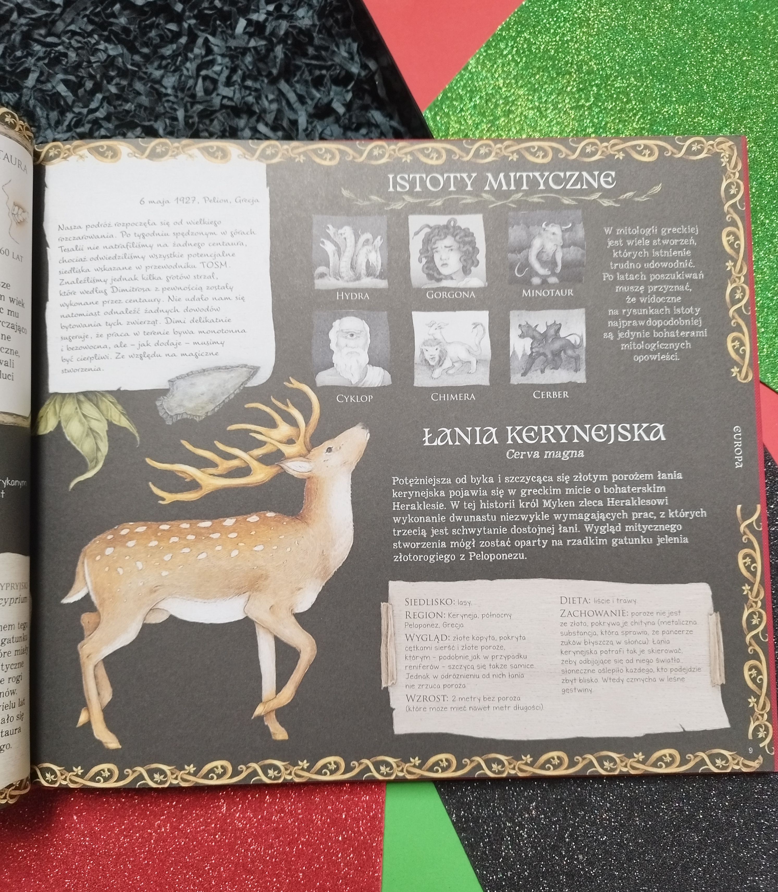 "Historia naturalna stworzeń magicznych" Emily Hawkins i Jessica Roux - wydawnictwo Harper Kids
