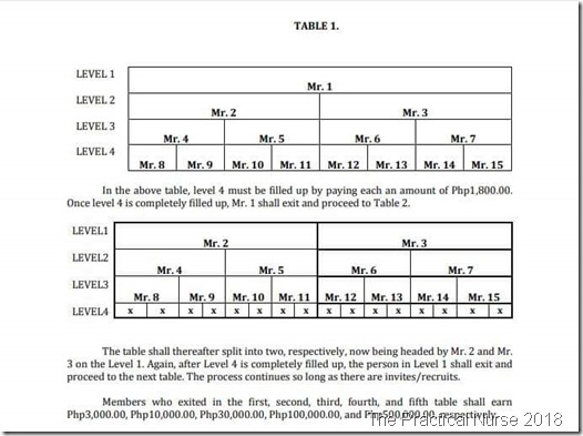 PPM scam plan promatrix 03