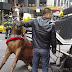 WILL HORSE-DRAWN CARRIAGES REALLY BE BANNED IN NYC? 