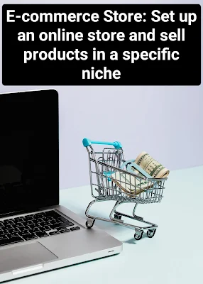 E-commerce Store: Set up an online store and sell products in a specific niche