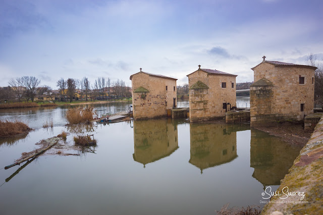 Ruta por las Aceñas del río Duero