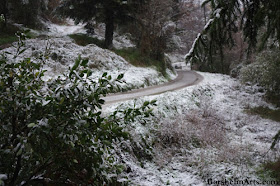 Snow in Castelvecchio Italy  Yoda in the Snow