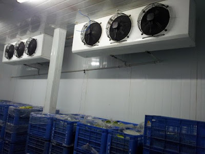 SERVICE COLD STORAGE BOGOR Call Or WA : 0813.1418.1790 - 0822.9815.2217