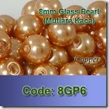 8GP6 copy