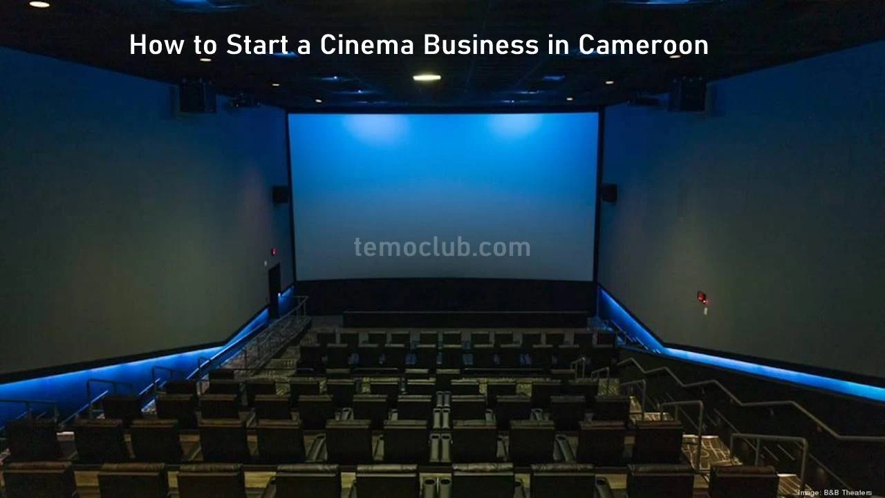 Cost and How to Start a Cinema Business in Cameroon