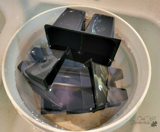 Plant pots soaking in a bucket of bleach water.