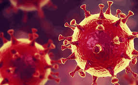 Coronavirus(COVID-19) cases in India