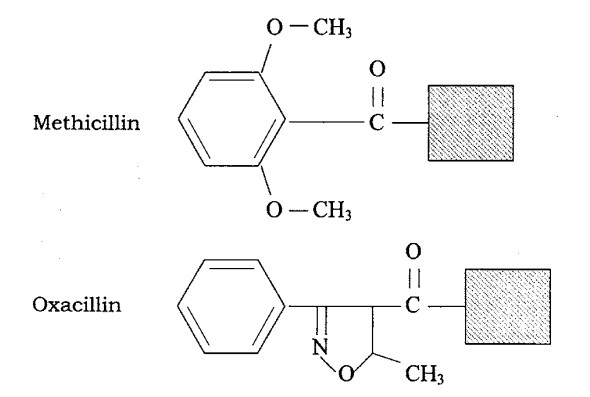  structure chimique de methicillin et Oxacilin