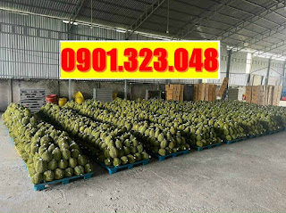 Diễn đàn rao vặtPallet nhựa Suối Lội, Phước Vĩnh An, Củ Chi  tổng hợp:  So%CC%A3t%20nh%C6%B0%CC%A3a20