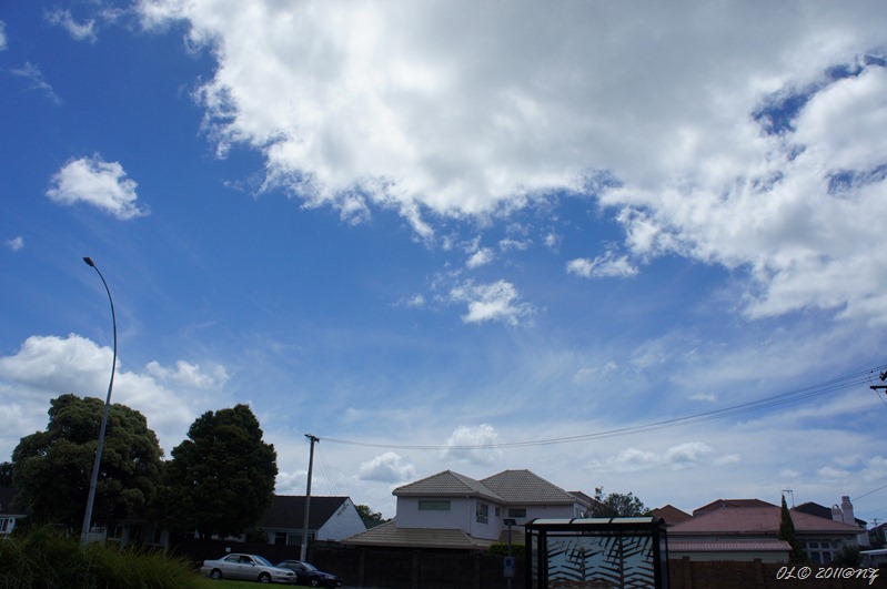 DSC03114
