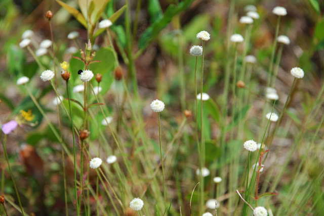 Moses Creek Conservation Area