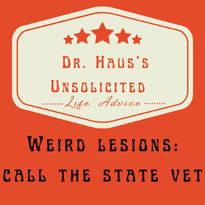 Dr. Haus's Unsolicited Life Advice:  Weird lesions - call the state vet