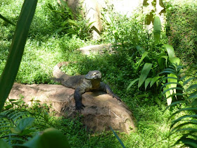 parc d'attractions Animal Kingdom Disney World