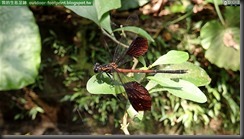 20150612_110310_065_FuYang_Park