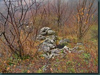 DSCN7841
