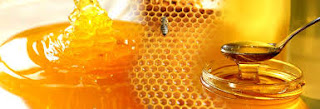 honey bee, bee pollen, bee hive, honey bees, organic honey, honeybee, how do bees make honey, health benefits of honey, honey benefits, buckwheat honey, clover honey, pure honey, honeybees, why do bees make honey, acacia honey, uses of honey, black honey, natural honey, best honey, sue bee honey, bees and honey, do bumble bees make honey, honey farm, best honey in the world, honey and cinnamon, honey and lemon, honey and babies, honey and diabetes, honey and allergies