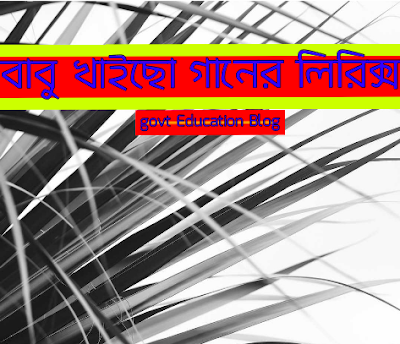 বাবু খাইছো গানের লিরিক্স , Babu Khaicho Lyrics