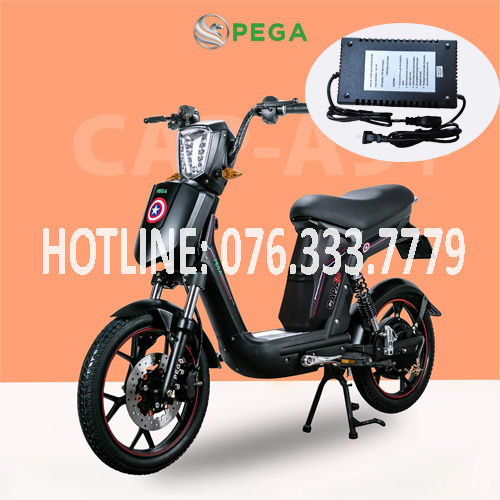 Đại Lý Sạc Xe Đạp Điện Pega Tại TPHCM Chất Lượng Giá Rẻ