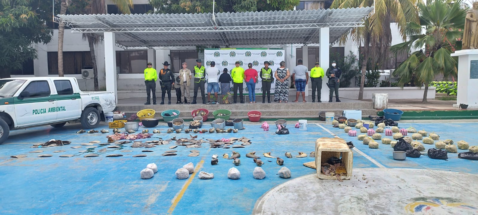 https://www.notasrosas.com/En Riohacha y Uribia decomisan carne de Tortuga Carey, avaluada en 240 millones de pesos aproximadamente