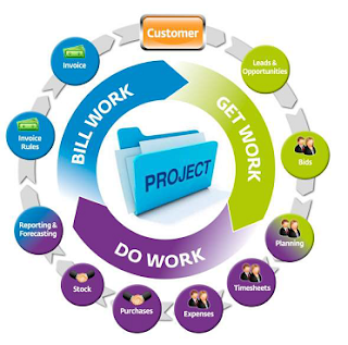 pmo project management