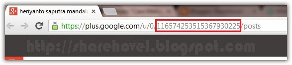 Cara Memasang Author Rich Snippet Google Plus Di Blog by sharehovel