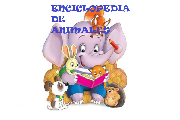  ENCICLOPEDIA