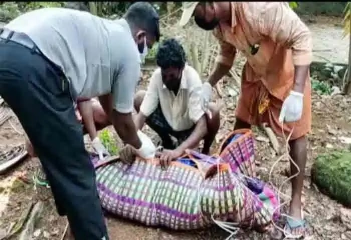 News, Kerala-News, Kerala, Thiruvananthapuram-News, Thiruvananthapuram, Local News, Dead body, Found Dead, Police, Covid-19, Mother, House, Job, Thiruvananthapuram: Woman found dead in house.