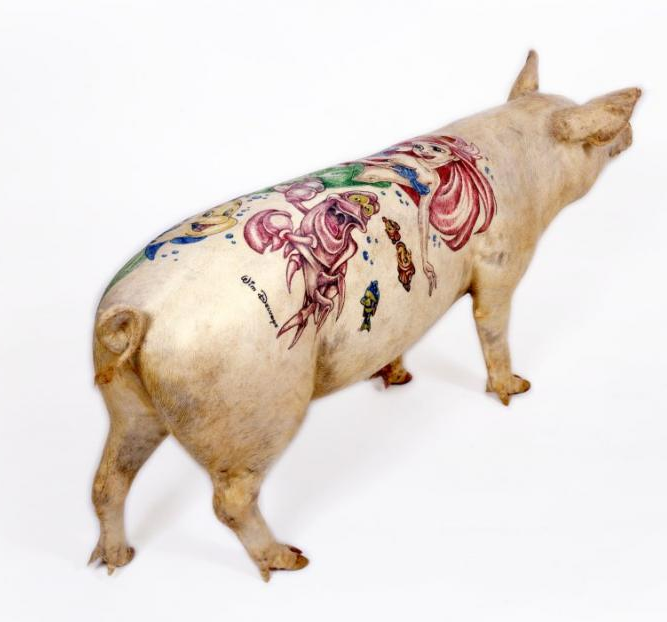 Tattooed Pigs