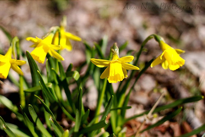 FLOWERS-(8-of-41)