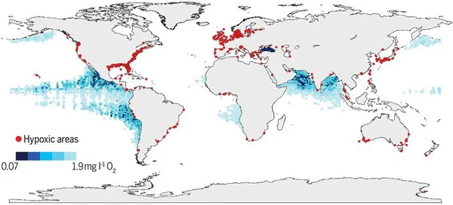 In the Ocean increased the number of “dead zones”