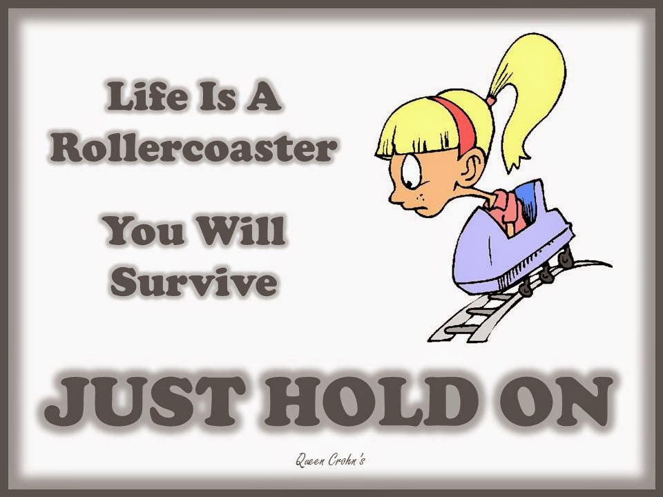 Life is a rollercoaster, you will survive, just hold on.