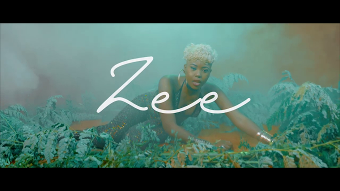  VIDEO | Zee - Die for you 