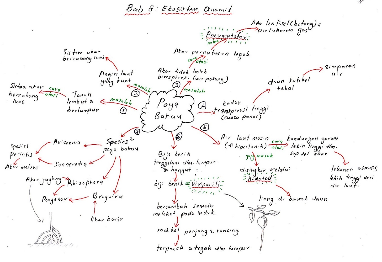 biologi tingkatan 4 bab 8