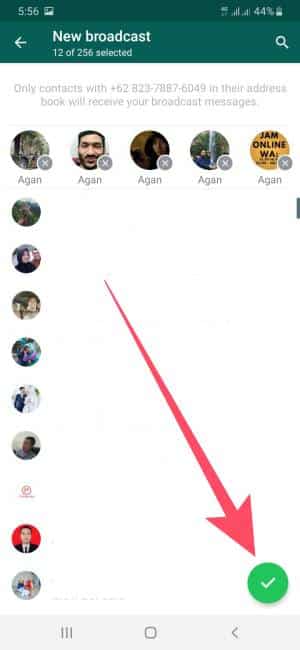 cara broadcast whatsapp ke banyak kontak