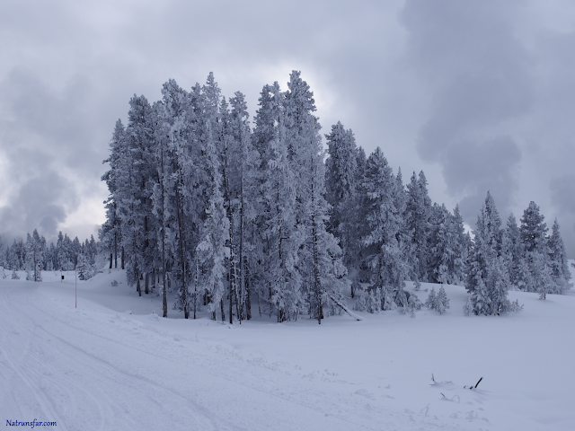 The Beauty Of Yellowstone National Park In Winter