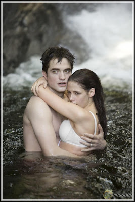 The Twilight Saga: Breaking Dawn Part 1