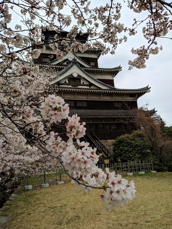 Путешествие по Японии весной 2020