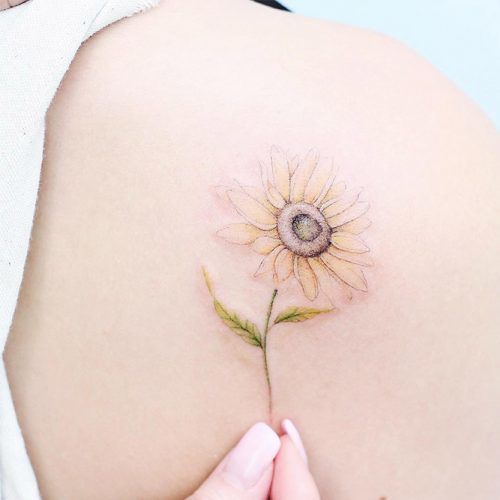 Tatuagens de girassol para as mulheres - 40 fotos e modelos