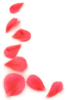 8 loose red petals on white surface