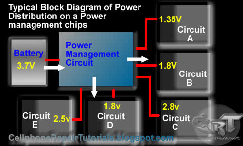 diagram of cell. A block diagram below shows a