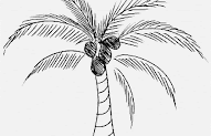 Konsep 36+ Lukisan Pokok Kelapa