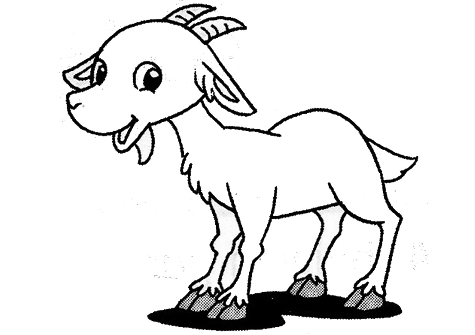 Gambar  Animasi Domba  Lucu Tentang Kolam Kandang Ternak