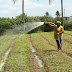 Seguro destina R$ 33,3 milhões a agricultores familiares na Bahia