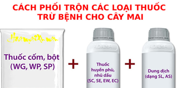 Có nên pha thuốc trị bệnh với phân bón lá cho cây mai?