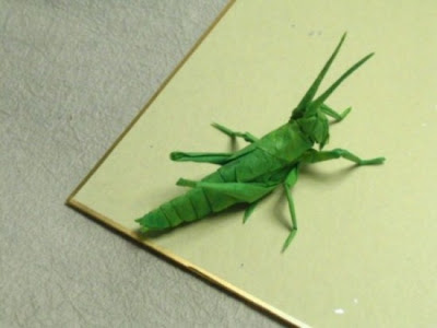 فن الاوريجامي - مجموعة حشرات مرعبة-منتهى