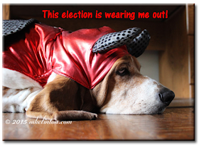 Bentley Basset Hound dressed as devil with meme "This presidential election would tire out the the devil himself."