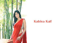 bollywood actress in hot saree photos+actressinhotsareephotos.blogspot.com