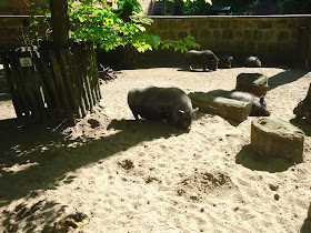 Zoos in Brandenburg Zoo Eberswalde